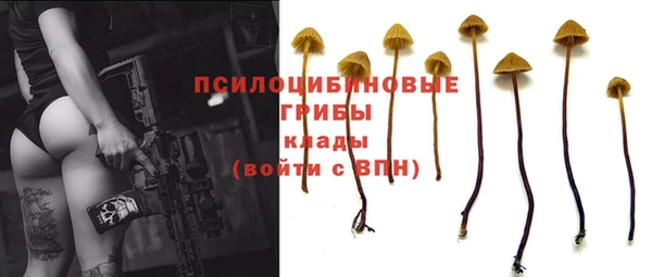 молекула духа Зеленодольск