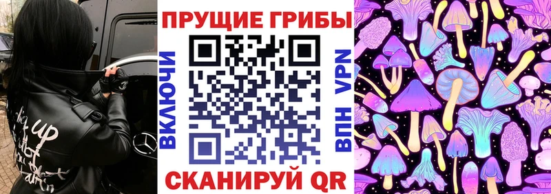 Купить где  Саратов  Галлюциногенные грибы Cubensis 